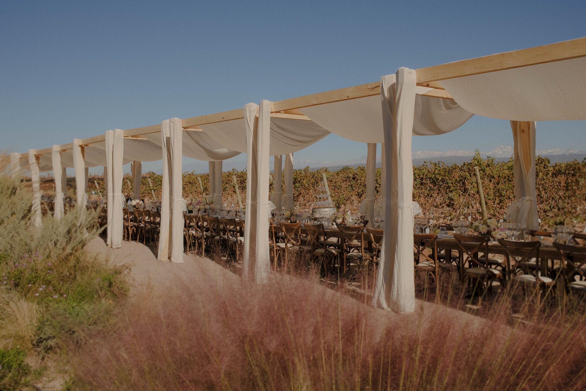 Wedding dinner under a canopy in a vineyard at sunset